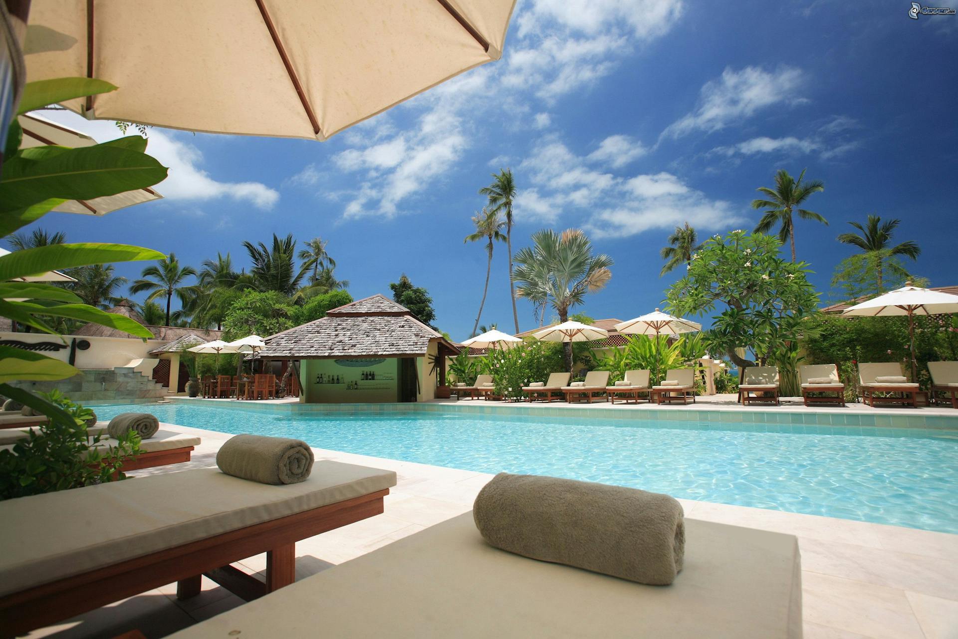 Spa and Beauty