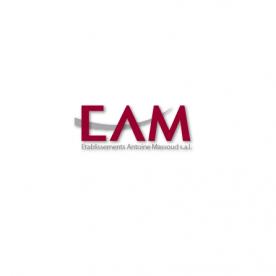 EAM