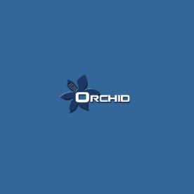Orchid Real Estate