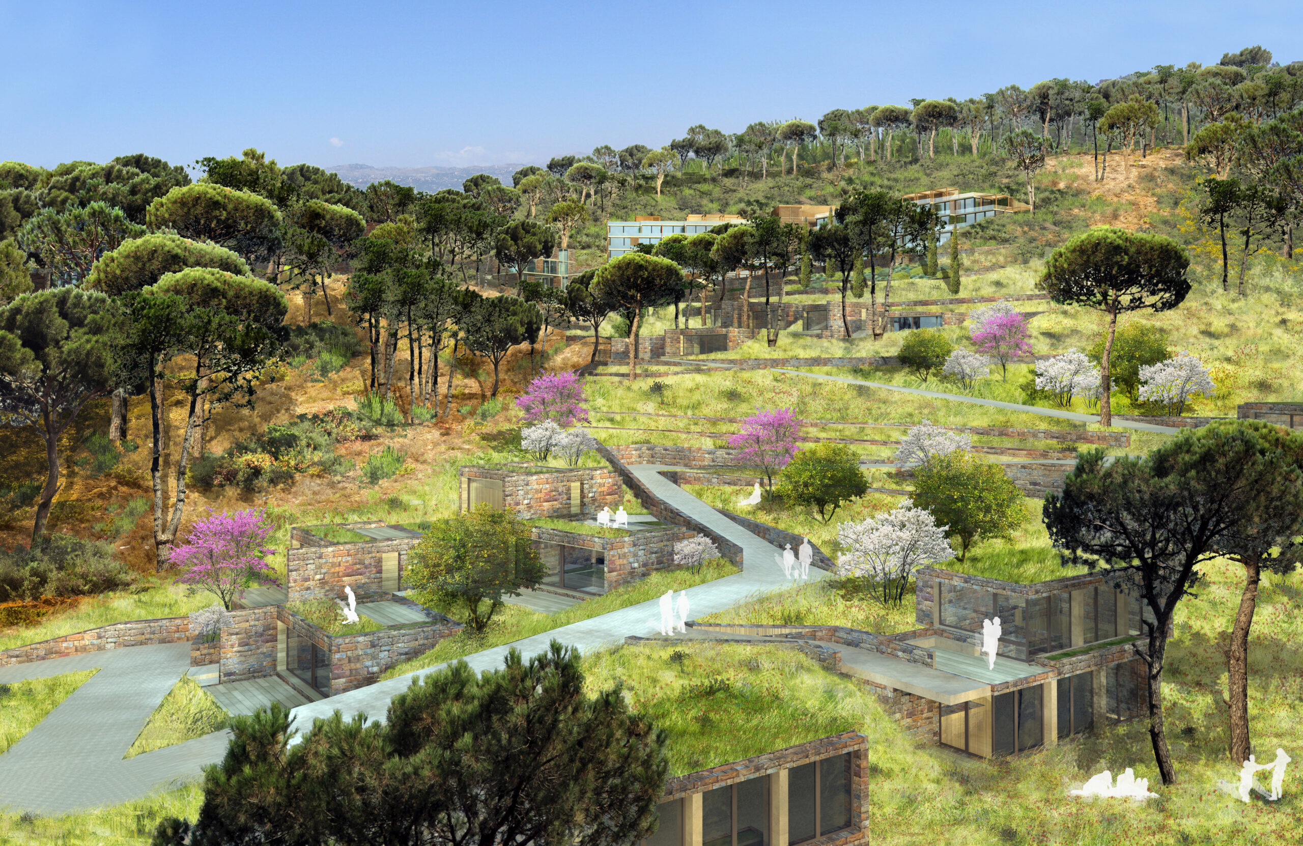 Springs Wellness resort